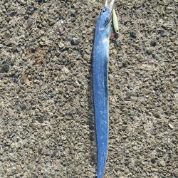太刀魚106cm